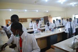 Students during assembly